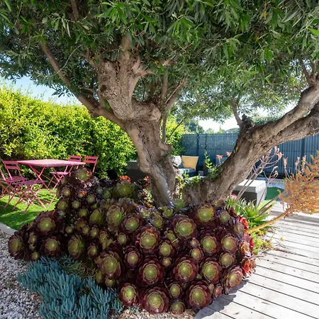 Entiere 14 Couchages Pres De La Les Maures Entre Hyeres Et Le Lavandou * 拉隆德莱丝莫里斯